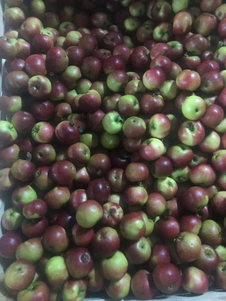 яблоки из Белоруссии в Гвардейске